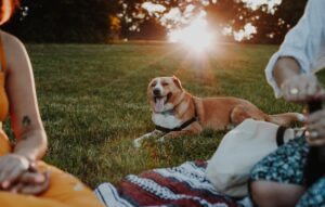 Discover Parc Bisbee — a peaceful, pet-friendly RV park in Bisbee, AZ near Sierra Vista, offering full hookups, scenic views, and a warm community for both travelers and their pets.